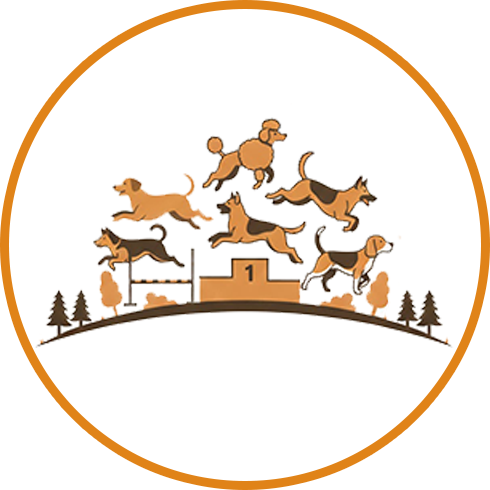 Dog Competitions